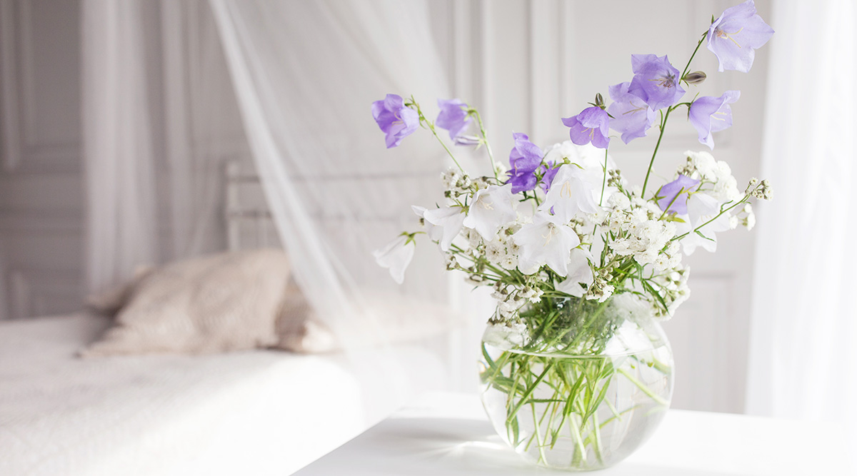 Perfumista-per-essències